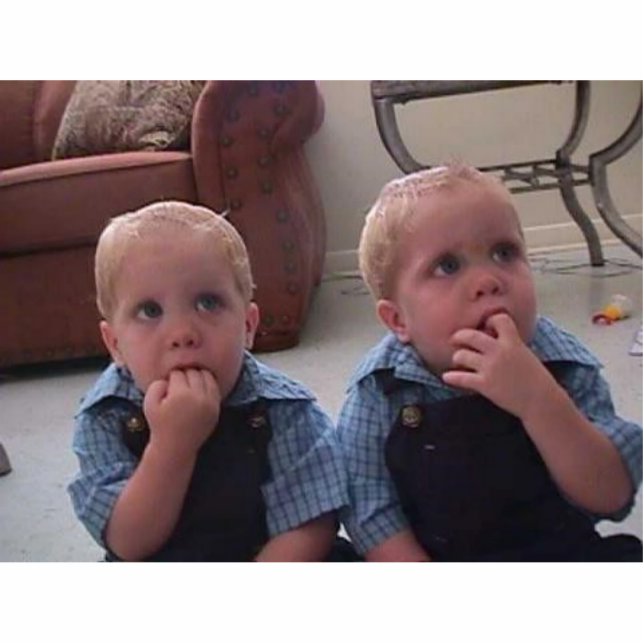 Photo Sculpture Sculptures en photo (Devant)