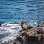 Photo Sculpture Seal Rock at La Jolla Beach à San Diego<br><div class="desc">Seals and sea lions resting at Seal Rock in the Pacific Ocean at La Jolla,  San Diego California on a beautiful,  sunny summer day</div>