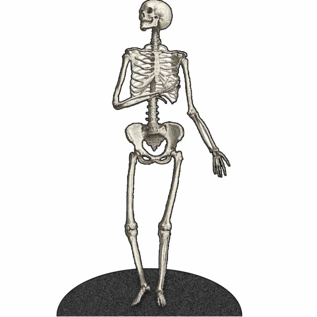 Photo Sculpture Skeleton Cutout Photosculpture 5x7 (Devant)