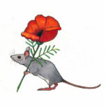 Photo Sculpture Souris tenant la fleur rouge : Art de crayon de<br><div class="desc">Mon dessin d'une souris grise mignonne tenant un grand pavot rouge.  Dessin créé dans le crayon de couleur.</div>