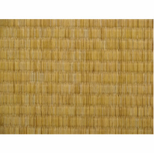 Photo Sculpture Tatami Mat 畳
