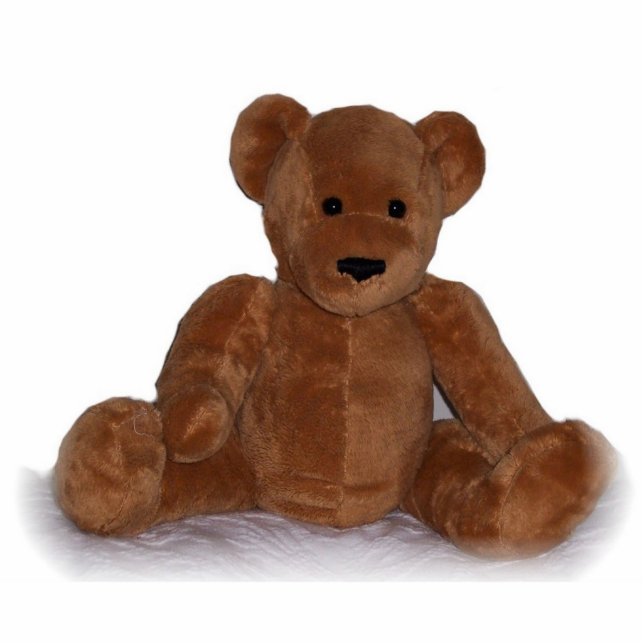 Photo Sculpture Teddy Bear (Devant)