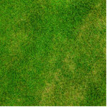 Photo Sculpture Texture verte<br><div class="desc">Photo texture herbe verte. Grand arrière - plan d'herbe verte pour beaucoup de grands produits et modèles. Ajoutez votre propre texte et personnalisez ces cadeaux avec des monogrammes et des textes personnalisés. Faites-les vraiment uniques !</div>