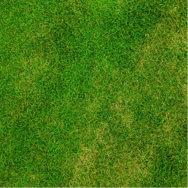 Photo Sculpture Texture verte (Devant)