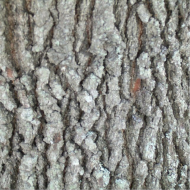 Photo Sculpture Vraie écorce de chêne en bois de camouflage Camo (Devant)