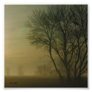 Photo Silhouette de California Sunrise Tree