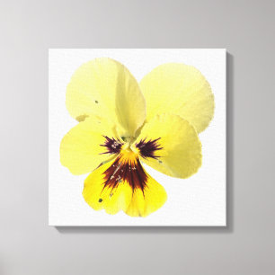 Photo sur toile d'art mural de fleur de pensée jau