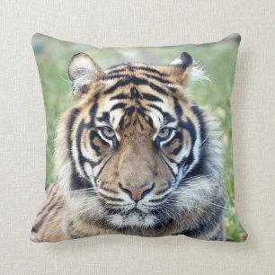 Photo tiger, chat, animaux. Coussin décoratif