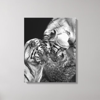 Photo Tiger Love sur toile enveloppée