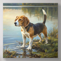 Beagle