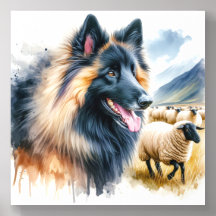 Berger belge Tervuren
