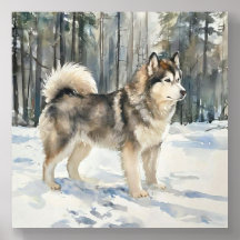Boîte à bijoux Alaskan Malamute