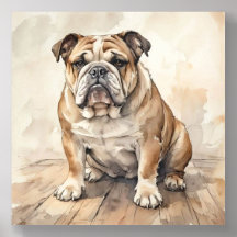 Bouledogue