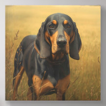 Coonhound noir et feu