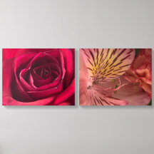 Photographie micro-fleur - Flore de gros plan déta