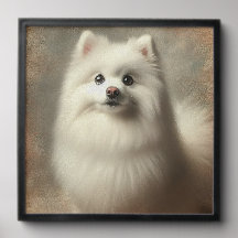 Chien esquimau américain