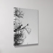 Colibri Solitaire