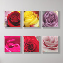 Photo de rose originale sur toile Rose Florale Art