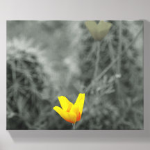 Toile d'art poppy jaune