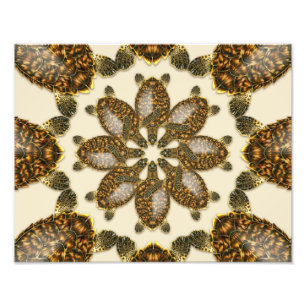 Photo Tortue imbriquée kaléidoscopique Impression 14" x