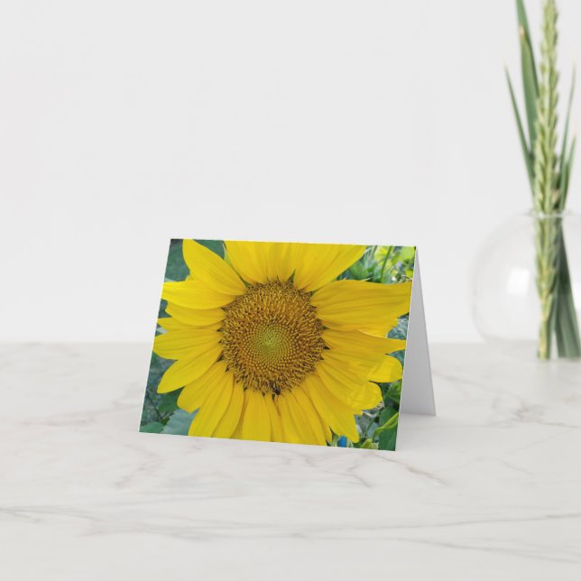 Photo tournesol (Devant)