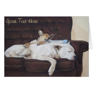 photo très mignonne du chiot brun & bulldog blanc