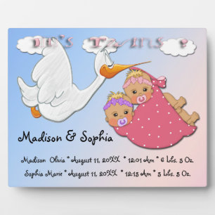 Photo Twin Girls - Plaque de conservation de cigogne ave