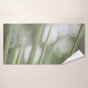 Photo vert pointu Plante Nature