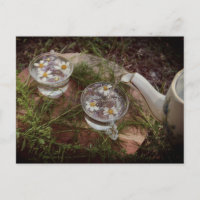 Photo vintage | Carte postale Tea Nature Fleur sau