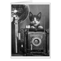 Photo vintage - chat avec l'appareil-photo
