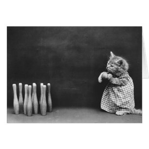 Photo vintage - chaton de bowling