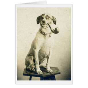 Photo vintage - chien de tabagisme de tuyau,