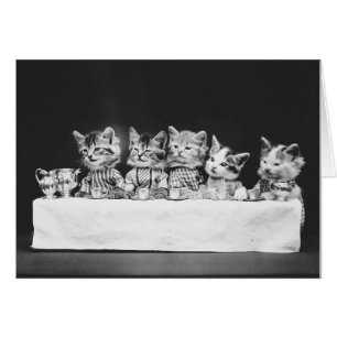 Photo vintage - Kittens With Tea,