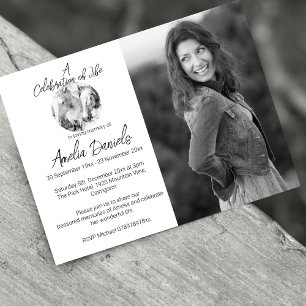 Photo White Pony Célébration de la carte de vie