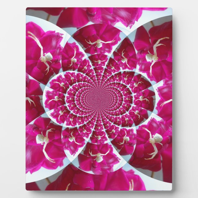 Photo White Spider on a Beautiful Red Rose Plaque (Devant)