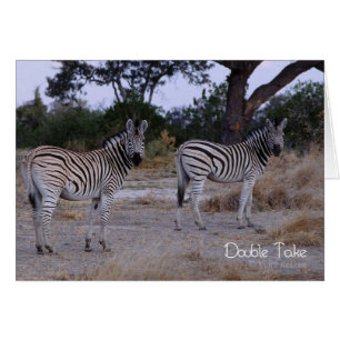 Photo Zebra Double Take