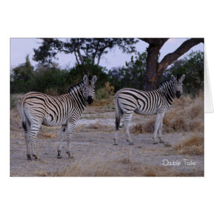 Photo Zebra Double Take