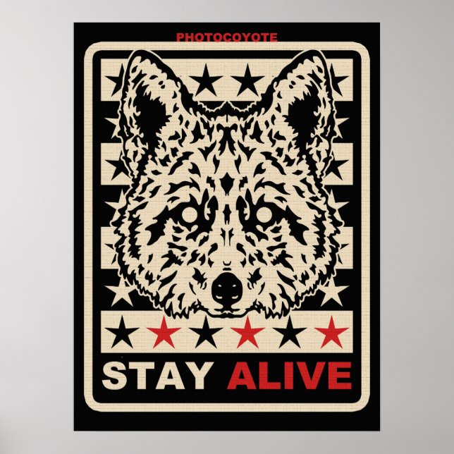 Photocoyote poster 2014 1 (Devant)