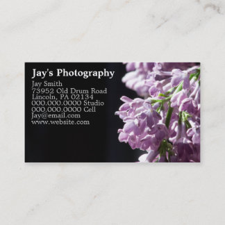 Photographe Carte de visite Lilac