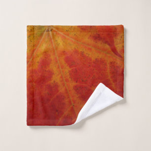 Photographie abstraite de la feuille d'érable roug