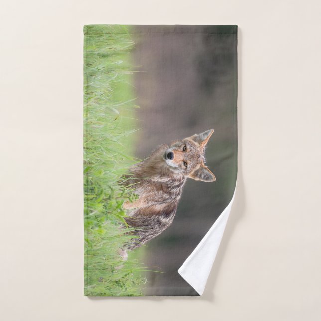 Photographie animale, Coyote Brown (Serviette à main)