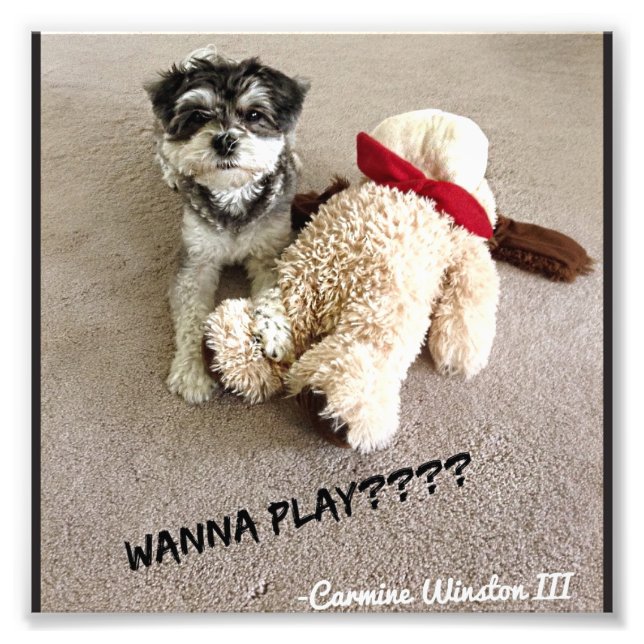 Photographie Carmine personnalisée 6x6 (Devant)