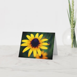Photographie d'abeille sur fleur de Susan aux yeux
