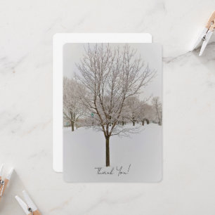 Photographie d'arbres en hiver