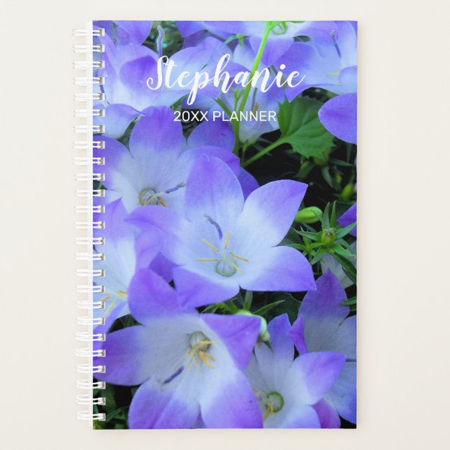 Photographie de Campanules Violettes (Devant)