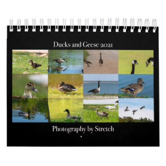 Photographie de Canards et d'Oies Calendrier 2021