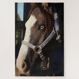 Photographie de cheval rustique en puzzle - Photo 