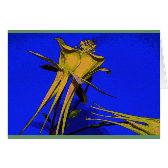 Photographie de colombin jaune (Devant horizontal)