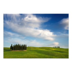 Photographie de Cypress en Toscane