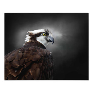 Photographie de faune Portrait de profil de balbuz